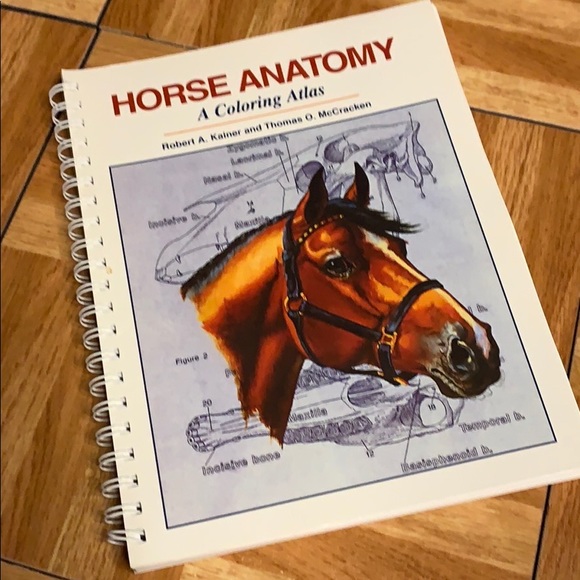 Download Alpine Publications Other Horse Anatomy A Coloring Atlas Book Euc Poshmark